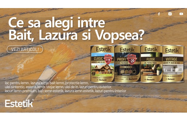 Ce sa alegi intre Bait, Lazura si Vopsea? De ce lazurile Estetik Clasic, Vintage si Profi sunt solutia ideala?